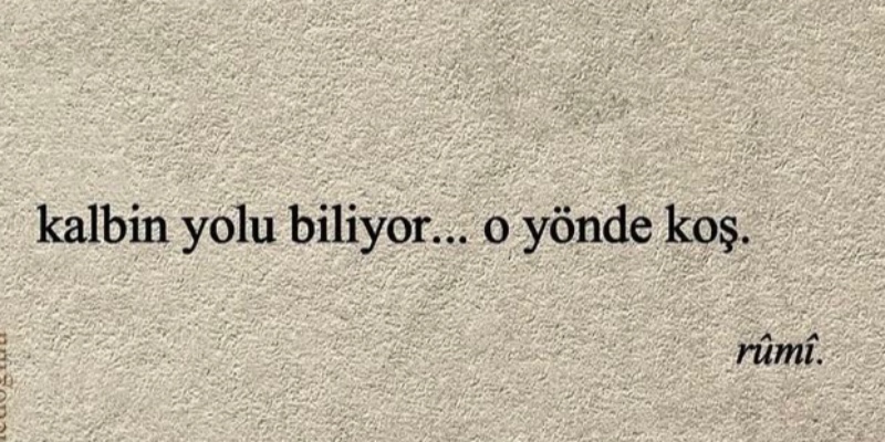 Kapak Fotoğrafı