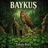 Baykuş