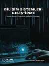 Bilişim Sistemleri Geliştirme
