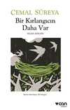 Bir Kırlangıcın Daha Var - Seçme Şiirleri