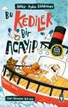 Bu Kediler Bir Acayip