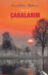 Çabalarım