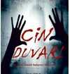 Cin Duvarı