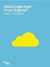 Dijital Çağa Nasıl Uyum Sağlarız