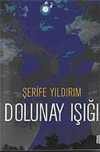 Dolunay Işığı