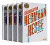 Hermann Hesse 2.Seti (5 Kitap)
