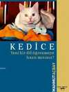 Kedice; Yeni Bir Dil Öğrenmeye Hazır Mısınız?