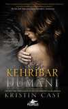 Kehribar Dumanı / Firar (Birinci Kitap)