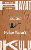 Kültür Ne İşe Yarar?