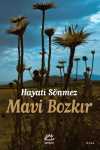 Mavi Bozkır
