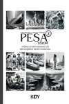 Pesa Çözüm