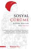 Sosyal Çürüme