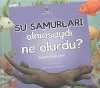 Su Samurları Olmasaydı Ne Olurdu? & Okyanus Ekosistemi
