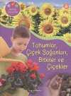Tohumlar, Çiçek Soğanları, Bitkiler ve Çiçekler / Bilimle Tanışalım