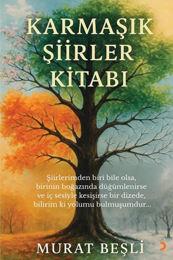 Karmaşık Şiirler Kitabı