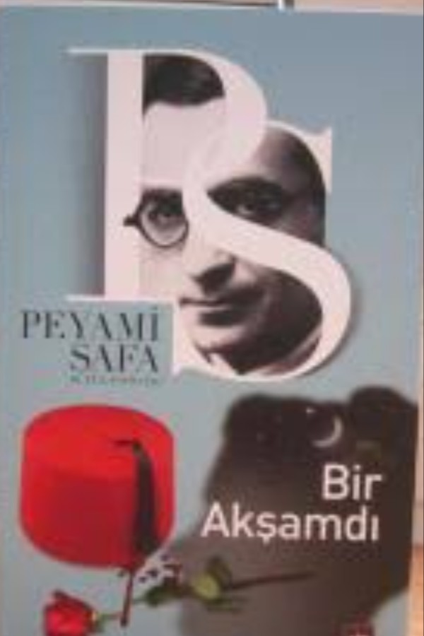 Bir akşamdı