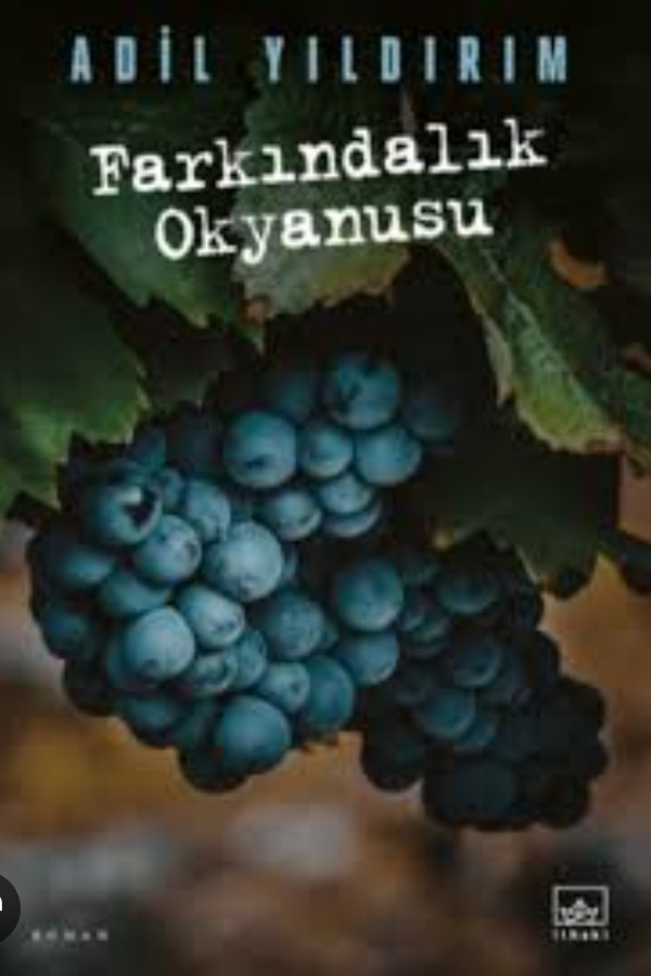 Farkındalık Okyanusu