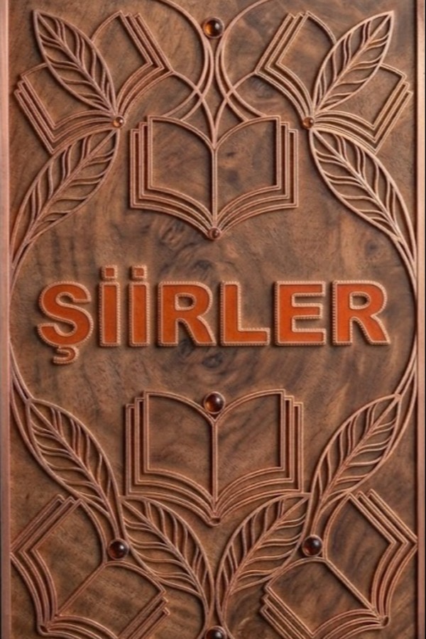 Şiirler