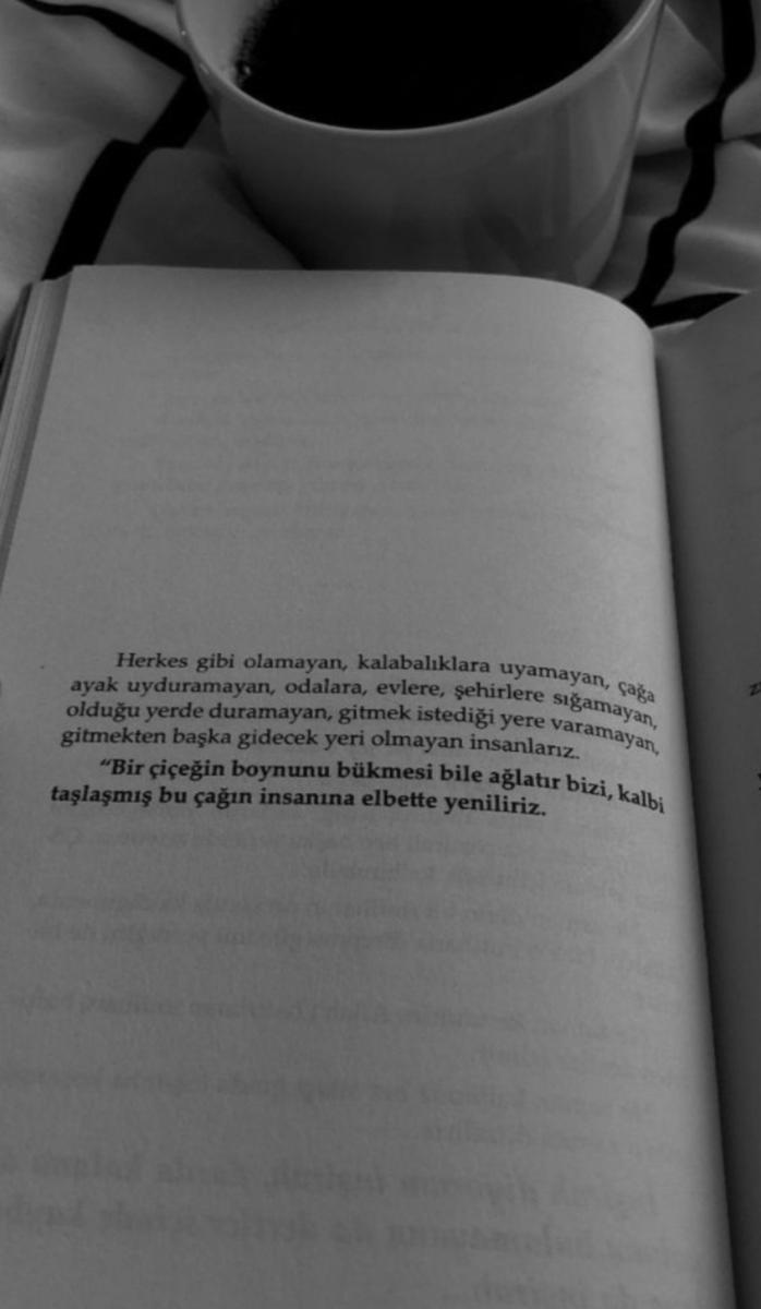 Paylaşılan görsel