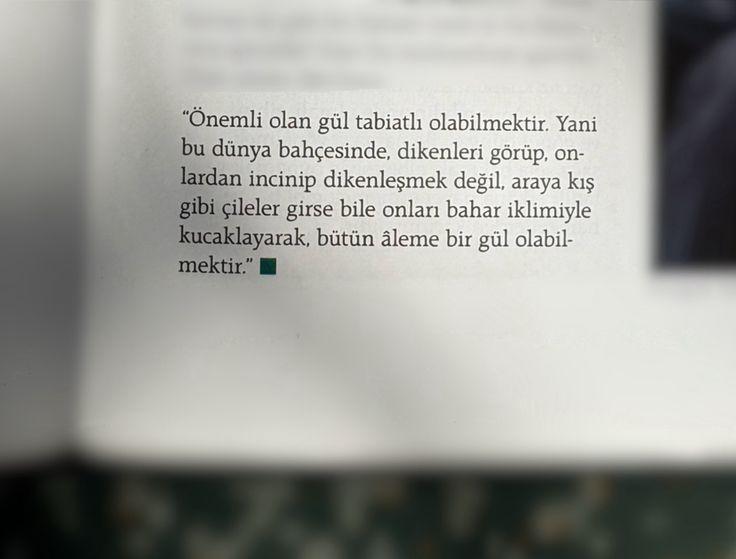 Paylaşılan görsel