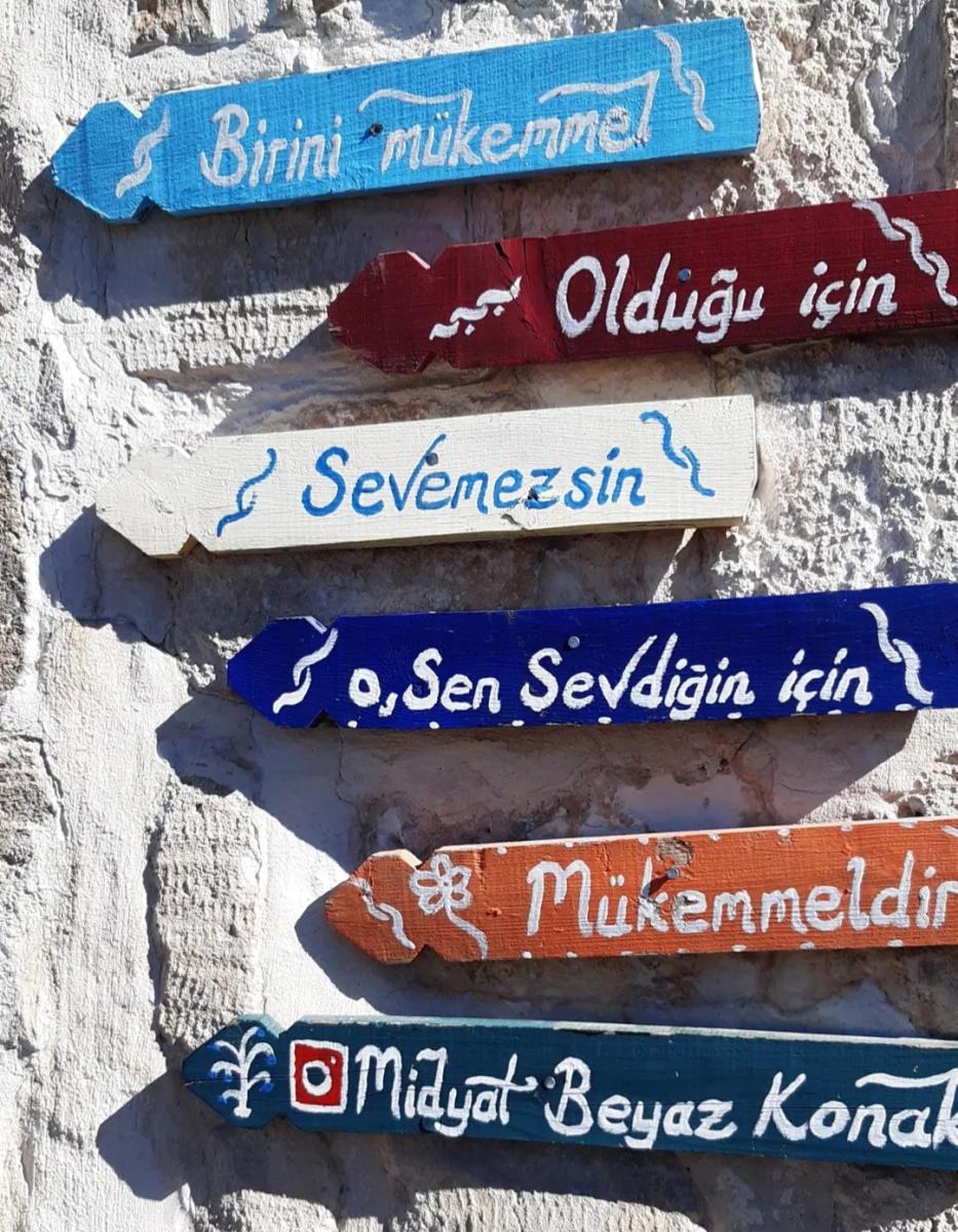 Paylaşılan görsel