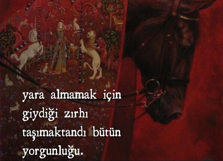 Paylaşılan görsel
