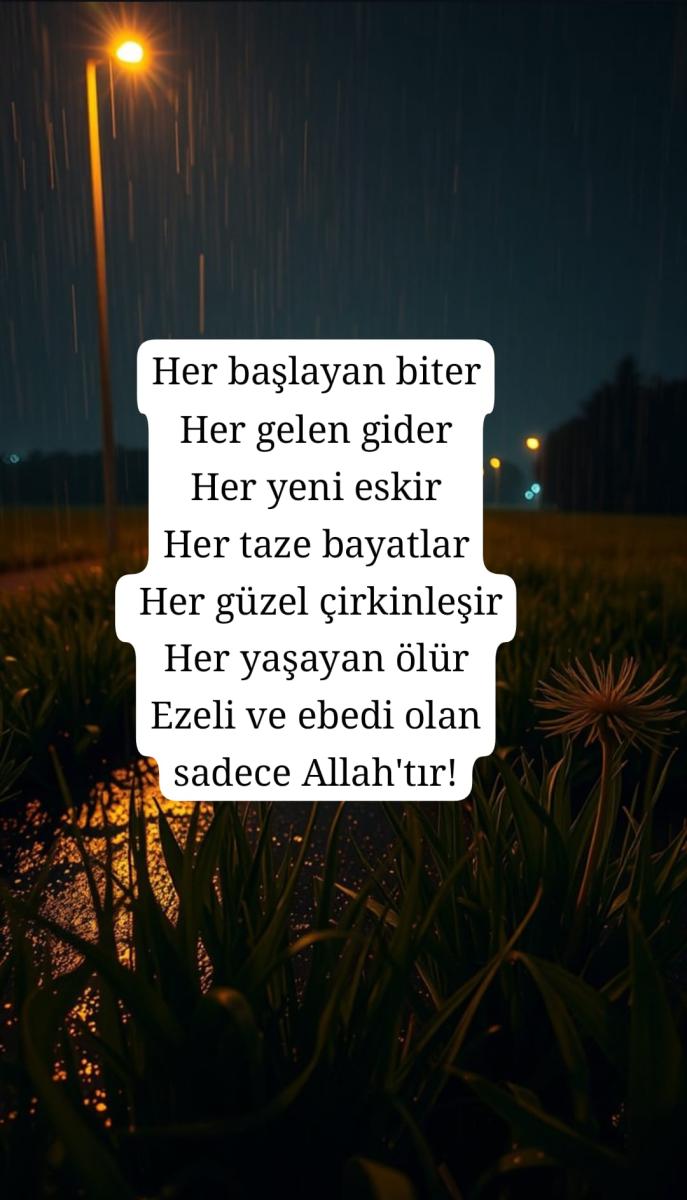Paylaşılan görsel