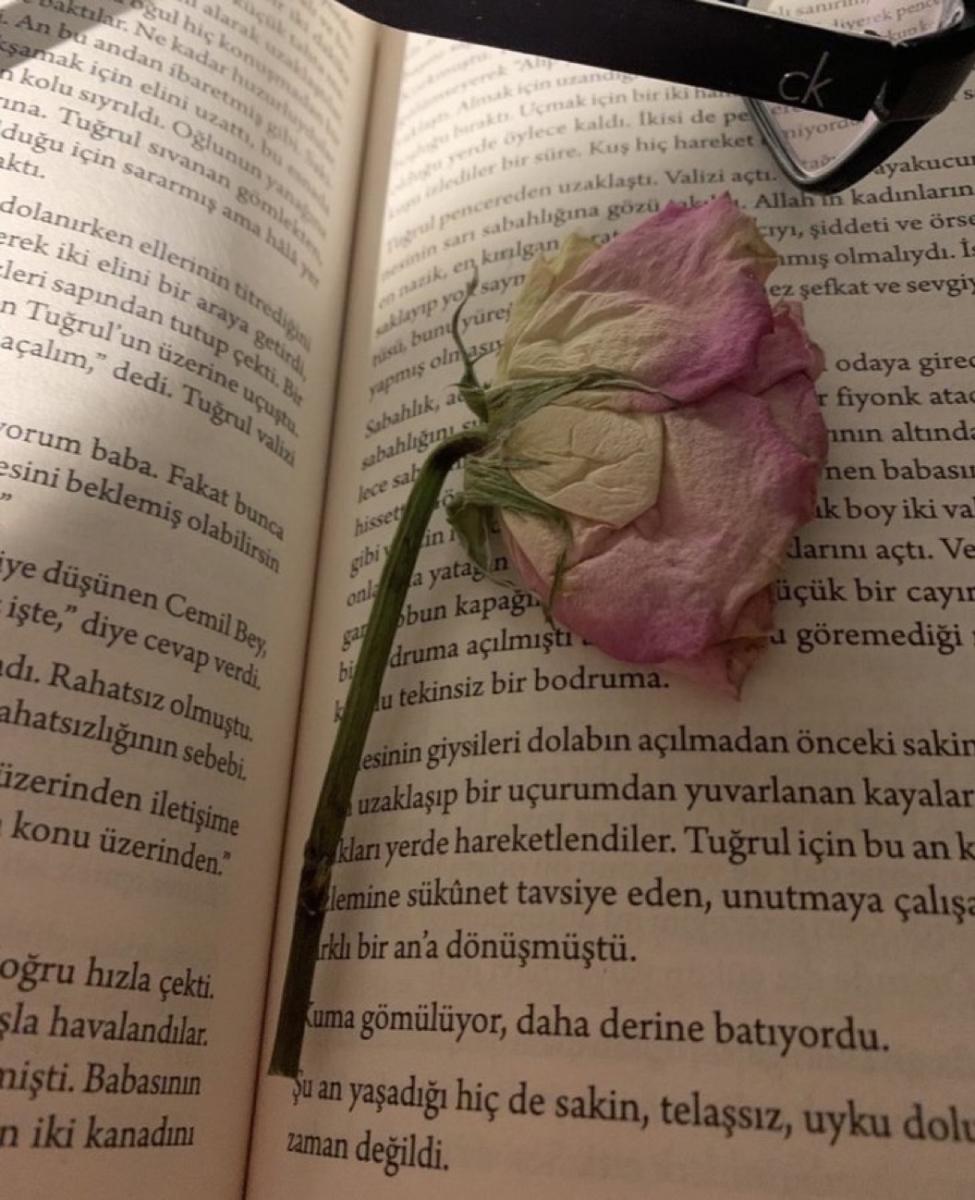 Paylaşılan görsel