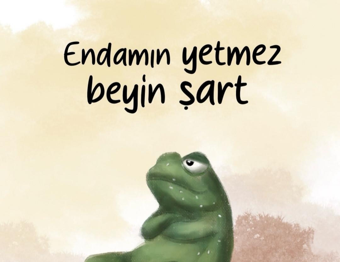 Paylaşılan görsel