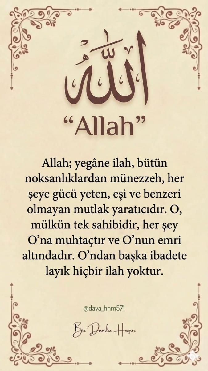 Paylaşılan görsel
